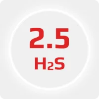 Сероводород (H2S) 2.5 (99,5%) в баллоне 10л (6 кг) соединение W21,8x1/14'' (DIN 6)