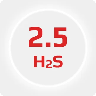 Сероводород 2.5